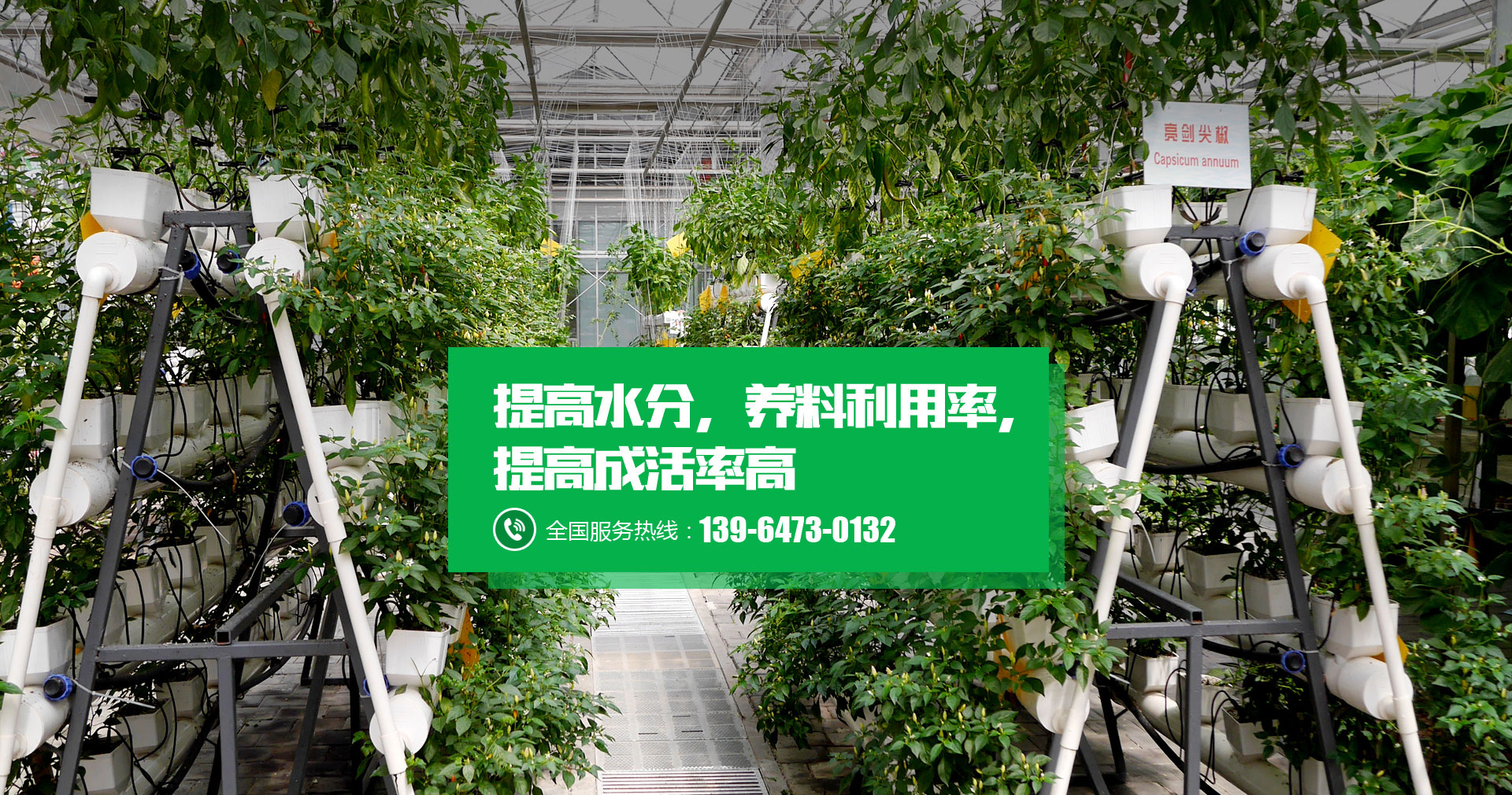 山东沐辰农业发展有限公司