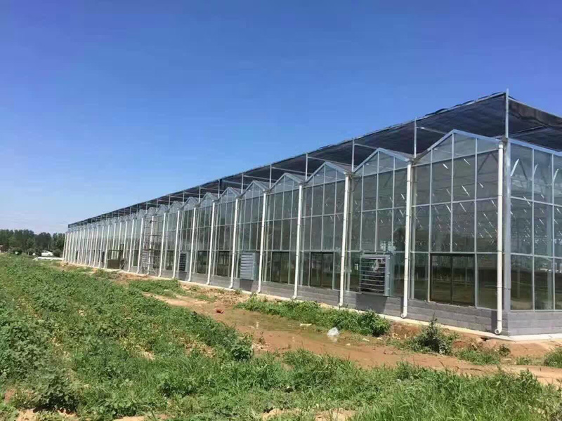 智能玻璃温室