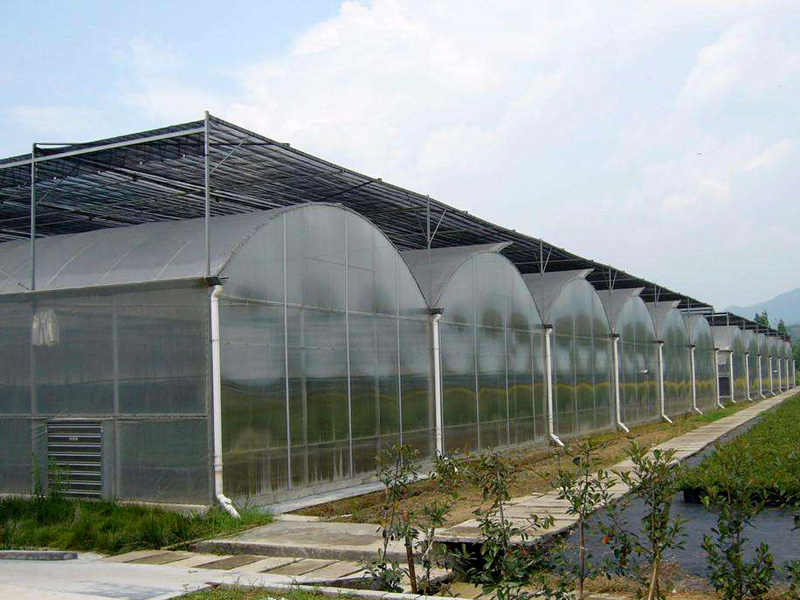 蔬菜大棚建设的两种拱架材料